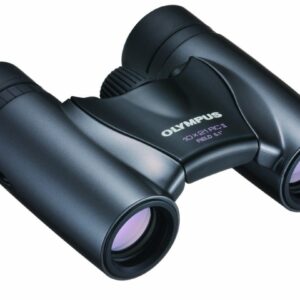 Olympus 10X21 RC II DARK SILVER Binoculars
