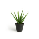 Τεχνητό Φυτό Aloe Vera 36 cm Inkazen 40081834