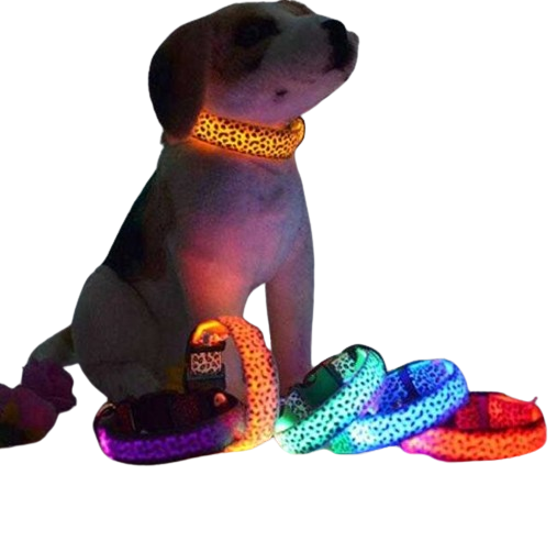 Φωτεινό περιλαίμιο - κολάρο σκύλου - 2.5cm - S/M/L - 10pcs - 550231 Φωτεινό περιλαίμιο - κολάρο σκύλου - 2.5cm - S/M/L - 10pcs - 550231