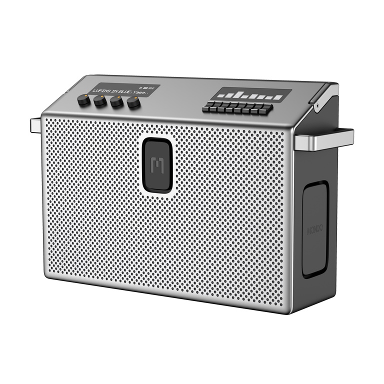 Defunc MONDO BT Speaker Large Aσύρματο Hχείο (Metal Gray)