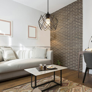 Φωτιστικό οροφής μονόφωτο PWL-1021 pakoworld Ε27 μαύρο Φ23.5x16εκ-147-000037