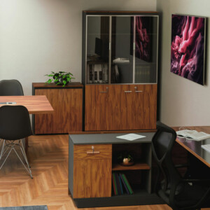 Ντουλάπα γραφείου επαγγελματική με γυάλινες πόρτες Oscar pakoworld καρυδί-ανθρακί 120x40x200εκ-246-000010