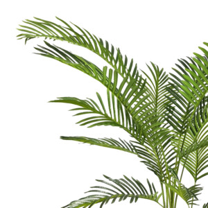 Διακοσμητικό φυτό Areca Ι σε γλάστρα Inart πράσινο pp Υ120εκ-316-000011