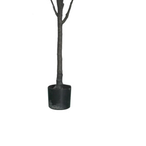 Διακοσμητικό φυτό Mangola I σε γλάστρα Inart λευκό pp Υ155εκ-316-000027