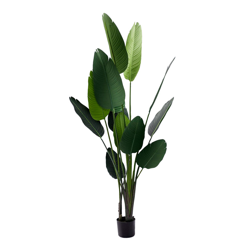 Διακοσμητικό φυτό Palm tree σε γλάστρα Inart πράσινο pp Υ180εκ-316-000035 Διακοσμητικό φυτό Palm tree σε γλάστρα Inart πράσινο pp Υ180εκ-316-000035