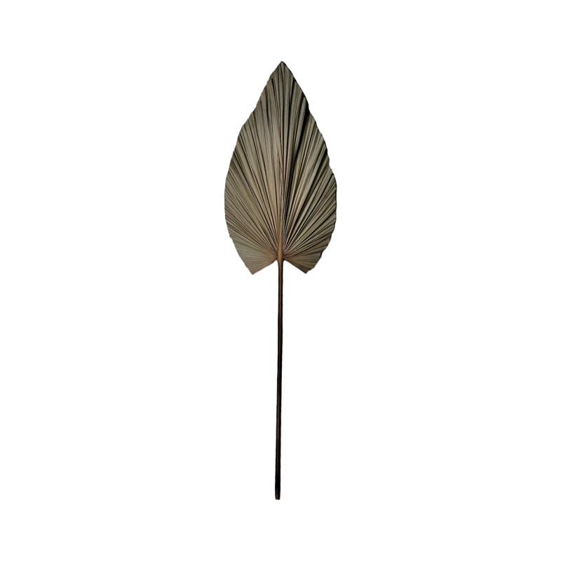 Διακοσμητικό φύλλο Leafen I Inart φυσικό palm leaf 130εκ-335-000015 Διακοσμητικό φύλλο Leafen I Inart φυσικό palm leaf 130εκ-335-000015