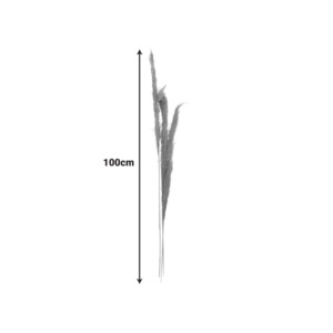 Διακοσμητικό φυτό pampas Beroun Inart σετ των 3τεμ σε φυσική απόχρωση Υ140εκ-343-000109