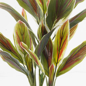 Διακοσμητικό φυτό σε γλάστρα Cycas Inart πράσινο Φ55x80εκ-391-000001