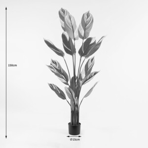 Διακοσμητικό φυτό σε γλάστρα Aglaonema Inart πράσινο Φ80x150εκ-391-000002