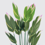 Διακοσμητικό φυτό σε γλάστρα Lucky Inart πράσινο Φ80x180εκ-391-000003