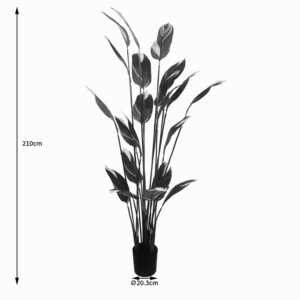 Διακοσμητικό φυτό σε γλάστρα Lucky I Inart πράσινο Φ80x210εκ-391-000004