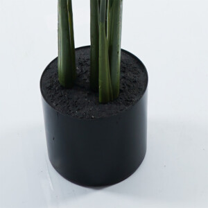 Διακοσμητικό φυτό σε γλάστρα Calathea Inart πράσινο Φ68x120εκ-391-000005