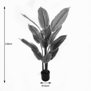 Διακοσμητικό φυτό σε γλάστρα Calathea Inart πράσινο Φ68x120εκ-391-000005