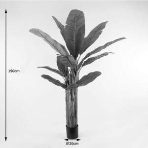 Διακοσμητικό φυτό σε γλάστρα Banana Tree Inart πράσινο Φ53x190εκ-391-000006
