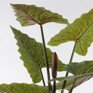 Διακοσμητικό φυτό σε γλάστρα Wentii Inart πράσινο Φ130x180εκ-391-000007