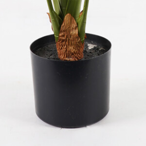 Διακοσμητικό φυτό σε γλάστρα Alocasia Inart πράσινο Φ90x120εκ-391-000014