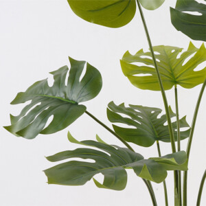 Διακοσμητικό φυτό σε γλάστρα Deliciosa Inart πράσινο Φ94x120εκ-391-000016