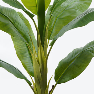 Διακοσμητικό φυτό σε γλάστρα Banono Inart πράσινο Φ95x160εκ-391-000018