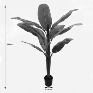 Διακοσμητικό φυτό σε γλάστρα Banono Inart πράσινο Φ95x160εκ-391-000018