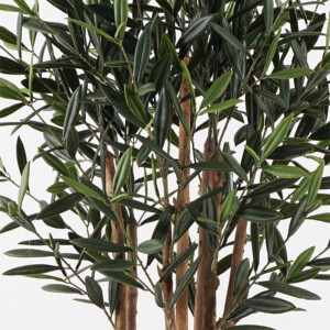 Διακοσμητικό φυτό σε γλάστρα Olia Inart πράσινο Φ52x120εκ-391-000020