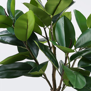 Διακοσμητικό φυτό σε γλάστρα Ficus Lyrata Inart πράσινο Φ70x130εκ-391-000021