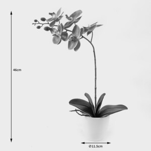 Διακοσμητικό φυτό σε γλάστρα Οrchid Beauty Inart 30x13x46εκ-391-000023