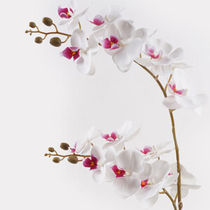 Διακοσμητικό φυτό σε γλάστρα Οrchid White Inart 36x17x65εκ-391-000024