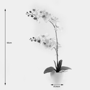 Διακοσμητικό φυτό σε γλάστρα Οrchid White Inart 36x17x65εκ-391-000024