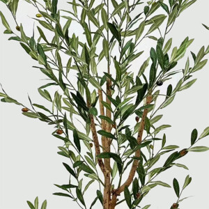 Διακοσμητικό φυτό σε γλάστρα Olia Inart πράσινο 65x55x180εκ-391-000028