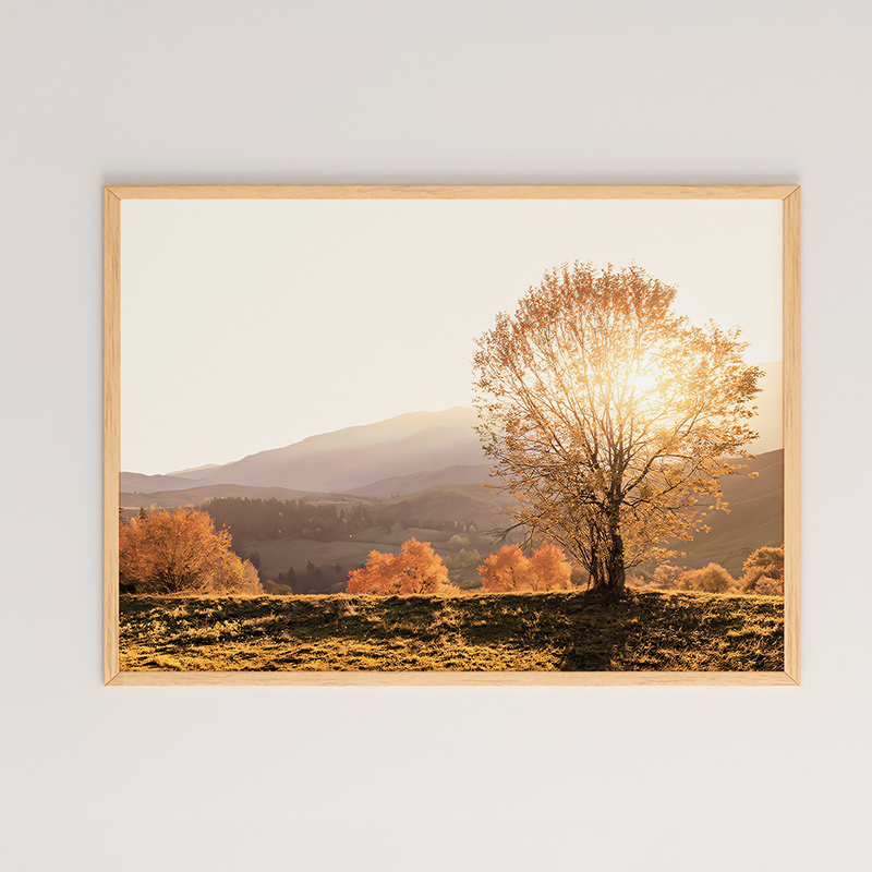 Πίνακας Vila pakoworld με ψηφιακή εκτύπωση και πλαίσιο 48x1.5x33εκ-409-000033 Πίνακας Vila pakoworld με ψηφιακή εκτύπωση και πλαίσιο 48x1.5x33εκ-409-000033