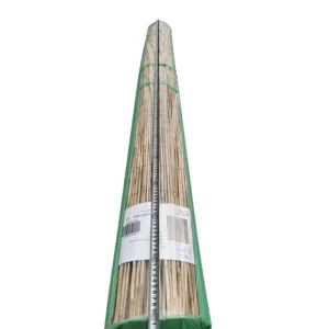 Καλαμωτή ArteLibre ELNICK Με Ολόκληρο Καλάμι 1.5x5m - Image 2