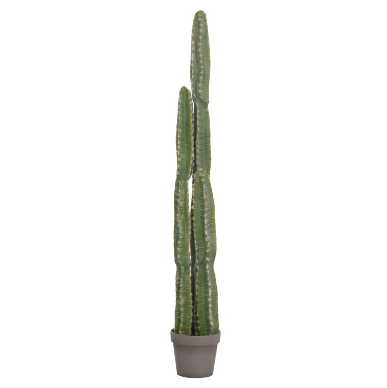 ΔΙΑΚΟΣΜΗΤΙΚΟ ΣΥΝΘΕΤΙΚΟ ΦΥΤΟ HM4741 ΚΑΚΤΟΣ ΜΕ ΓΛΑΣΤΡΑ Φ19,5x141Υεκ.