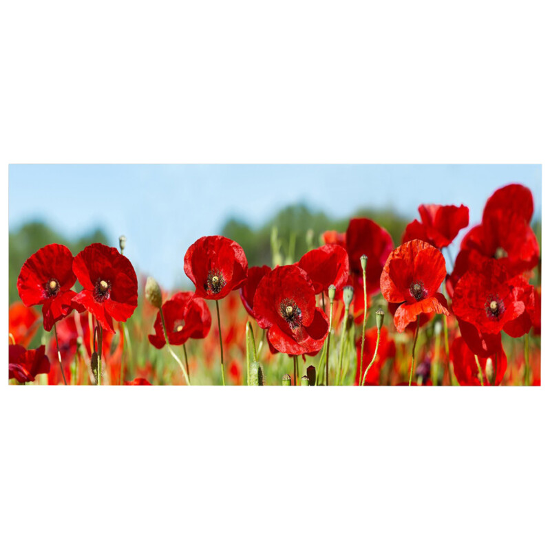 ΠΙΝΑΚΑΣ TOIXOY ΣΕΙΡΑ GOBI HM4786 ΕΚΤΥΠΩΜΕΝΟΣ ΚΑΜΒΑΣ 120x3(πάχος)x50Υεκ. ΠΙΝΑΚΑΣ TOIXOY ΣΕΙΡΑ GOBI HM4786 ΕΚΤΥΠΩΜΕΝΟΣ ΚΑΜΒΑΣ 120x3(πάχος)x50Υεκ. - Image 1