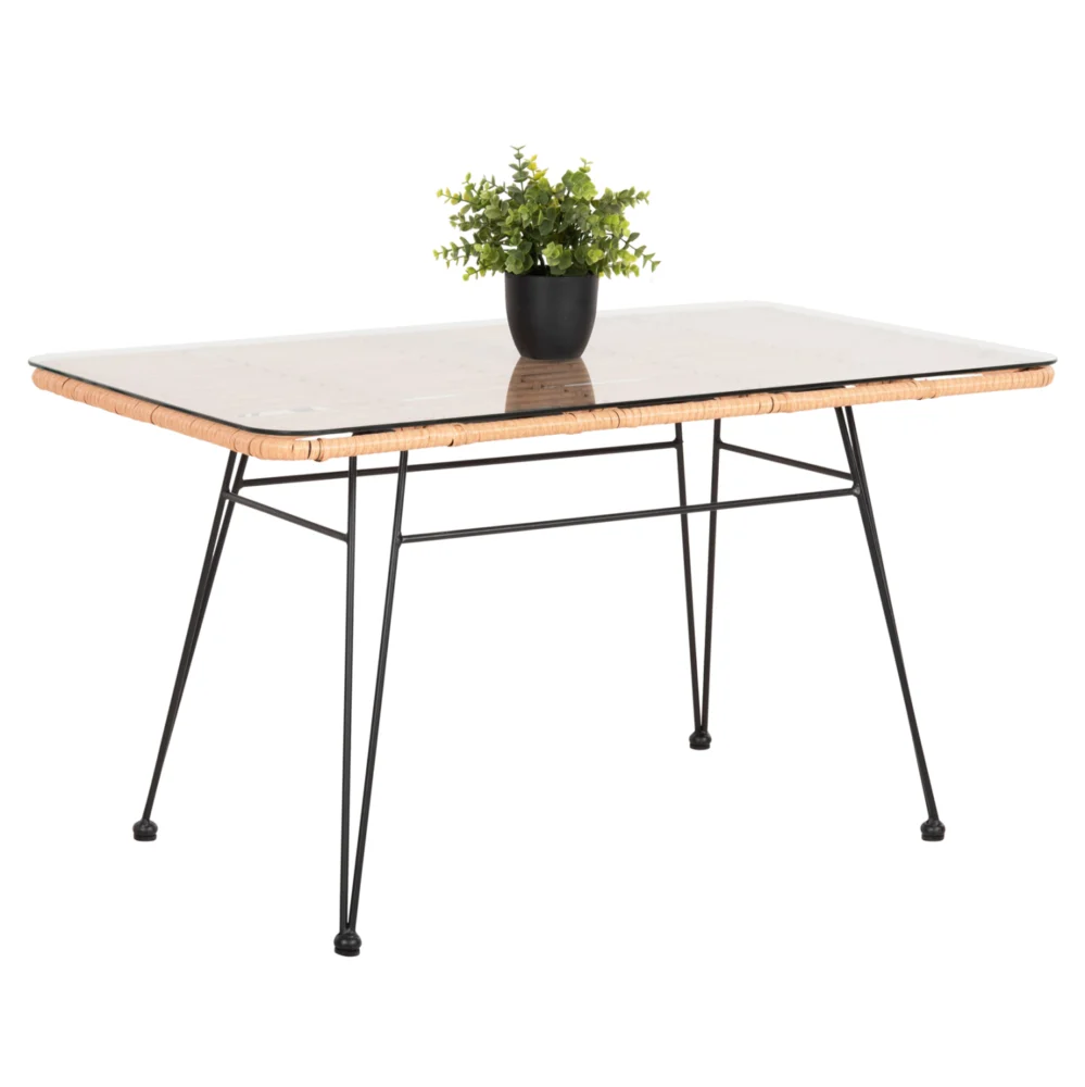 ΤΡΑΠΕΖΙ ΕΞ.ΧΩΡΟΥ ΧΑΜΗΛΟ ALLEGRA HM6076 ΜΑΥΡΟ ΜΕΤΑΛΛΟ-ΜΠΕΖ WICKER 95X55X51.5Yεκ. ΤΡΑΠΕΖΙ ΕΞ.ΧΩΡΟΥ ΧΑΜΗΛΟ ALLEGRA HM6076 ΜΑΥΡΟ ΜΕΤΑΛΛΟ-ΜΠΕΖ WICKER 95X55X51.5Yεκ. - Image 1