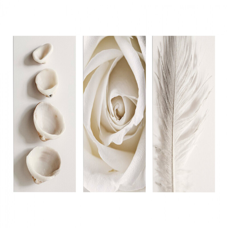 ΠΙΝΑΚΑΣ ΤΡΙΠΤΥΧΟ MDF NATURAL ELEMENTS HM7204.05 60X0 ΠΙΝΑΚΑΣ ΤΡΙΠΤΥΧΟ MDF NATURAL ELEMENTS HM7204.05 60X0,3X50 εκ. - Image 1