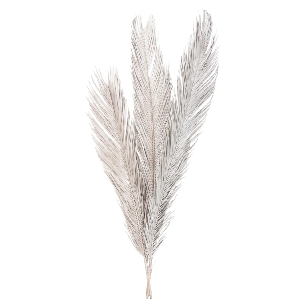 ΔΙΑΚΟΣΜΗΤΙΚΟ ΑΠΟΞΗΡΑΜΕΝΟ ΣΕΤ 3 ΦΥΛΛΩΝ ΦΟΙΝΙΚΑ HM7957 ΑΣΗΜΙ 110Υεκ. ΔΙΑΚΟΣΜΗΤΙΚΟ ΑΠΟΞΗΡΑΜΕΝΟ ΣΕΤ 3 ΦΥΛΛΩΝ ΦΟΙΝΙΚΑ HM7957 ΑΣΗΜΙ 110Υεκ. - Image 1