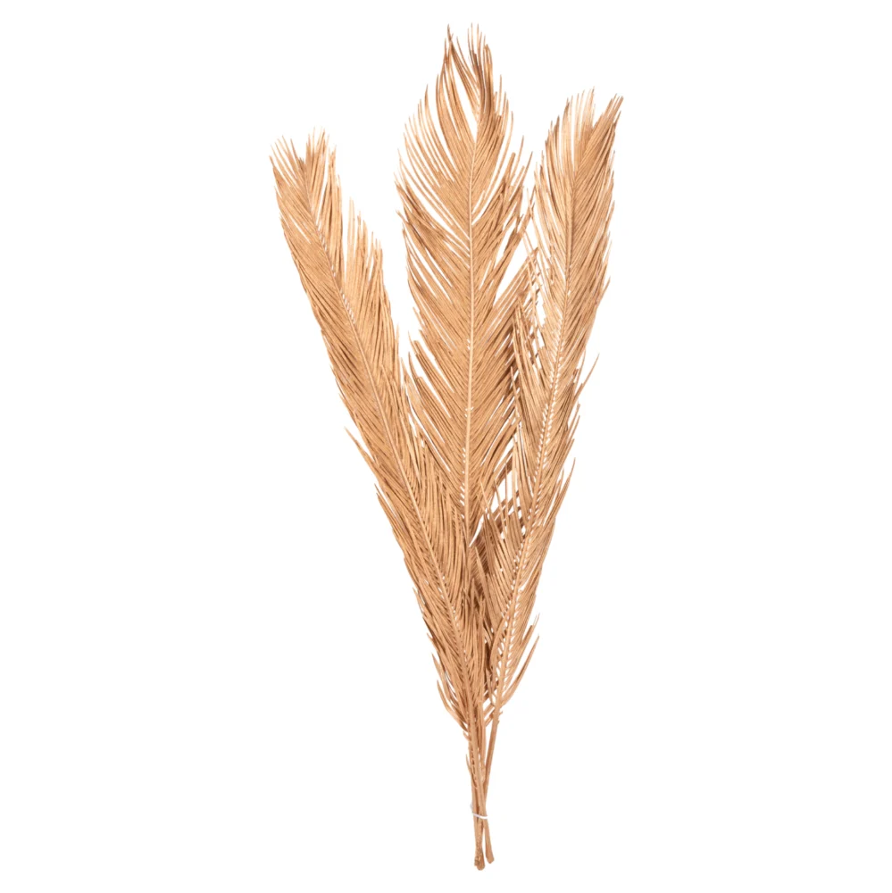 ΔΙΑΚΟΣΜΗΤΙΚΟ ΑΠΟΞΗΡΑΜΕΝΟ ΣΕΤ 3 ΦΥΛΛΩΝ ΦΟΙΝΙΚΑ HM7958 ΧΡΥΣΟ 110Υεκ. ΔΙΑΚΟΣΜΗΤΙΚΟ ΑΠΟΞΗΡΑΜΕΝΟ ΣΕΤ 3 ΦΥΛΛΩΝ ΦΟΙΝΙΚΑ HM7958 ΧΡΥΣΟ 110Υεκ. - Image 1