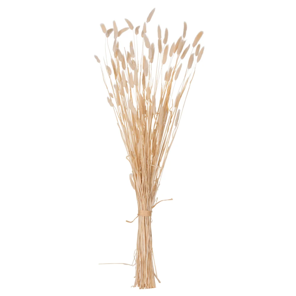 ΔΙΑΚΟΣΜΗΤΙΚΟ ΜΠΟΥΚΕΤΟ ΑΠΟΞΗΡΑΜΕΝΟ HM7959 RABBIT TAIL- CREAM 50gr 76Υεκ. ΔΙΑΚΟΣΜΗΤΙΚΟ ΜΠΟΥΚΕΤΟ ΑΠΟΞΗΡΑΜΕΝΟ HM7959 RABBIT TAIL- CREAM 50gr 76Υεκ. - Image 1