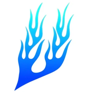 ΑΥΤΟΚΟΛΛΗΤΟ ΦΛΟΓΑ-ΜΠΛΕ (20x30cm) ΑΡΙΣΤΕΡΟ - 1 ΤΕΜ. 07745