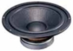 WOOFER 10 KDW-100