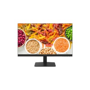 LED  ΜΟΝΙΤΟΡ 24" DS-D5024F2-1V2S
