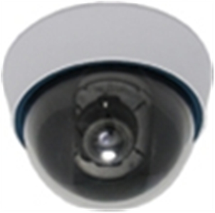 ΕΓΧΡΩΜΗ ΚΑΜΕΡΑ AVK-015ZP