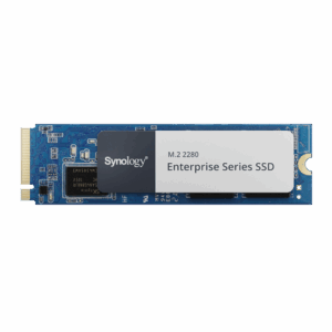 Synology SNV5420-400G