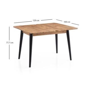 Τραπέζι Dolunay Megapap επεκτεινόμενο χρώμα atlantic pine - μαύρο 100x60(120x100)x79,5εκ. - Image 9