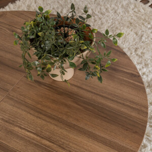 Τραπεζάκι σαλονιού σετ 2 τμχ Moira Megapap χρώμα καρυδί Ø90x41εκ. - Image 7