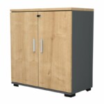 Ντουλάπι γραφείου επαγγελματικό Venturo Megapap χρώμα ανθρακί - φυσικό οξιάς 80x40x80εκ.