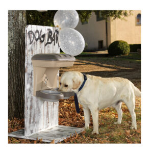 Επιτοίχια Πλαστική Ταΐστρα και Ποτίστρα Σκύλου 50 x 29 x 52 cm 2 σε 1 Χρώματος Γκρι Bama 19045 - Image 2