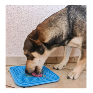 Δίσκος Γλειψίματος για Ανήσυχους Σκύλους 20 x 20 x 0.6 cm Purlov 19378 - Image 5