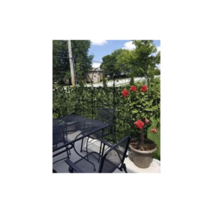 Τεχνητή Φυλλωσιά Κισσός 300 x 50 cm Gardlov 23641 - Image 2