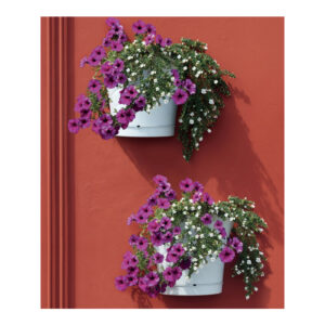 Σετ Πλαστικές Ημικυκλικές Κρεμαστές Γλάστρες 5 Lt 34.5 x 19 x 30 cm 4 τμχ Λευκό Tulipano Bama 30516 - Image 5